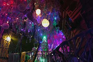 A Second Visit to Meow Wolf